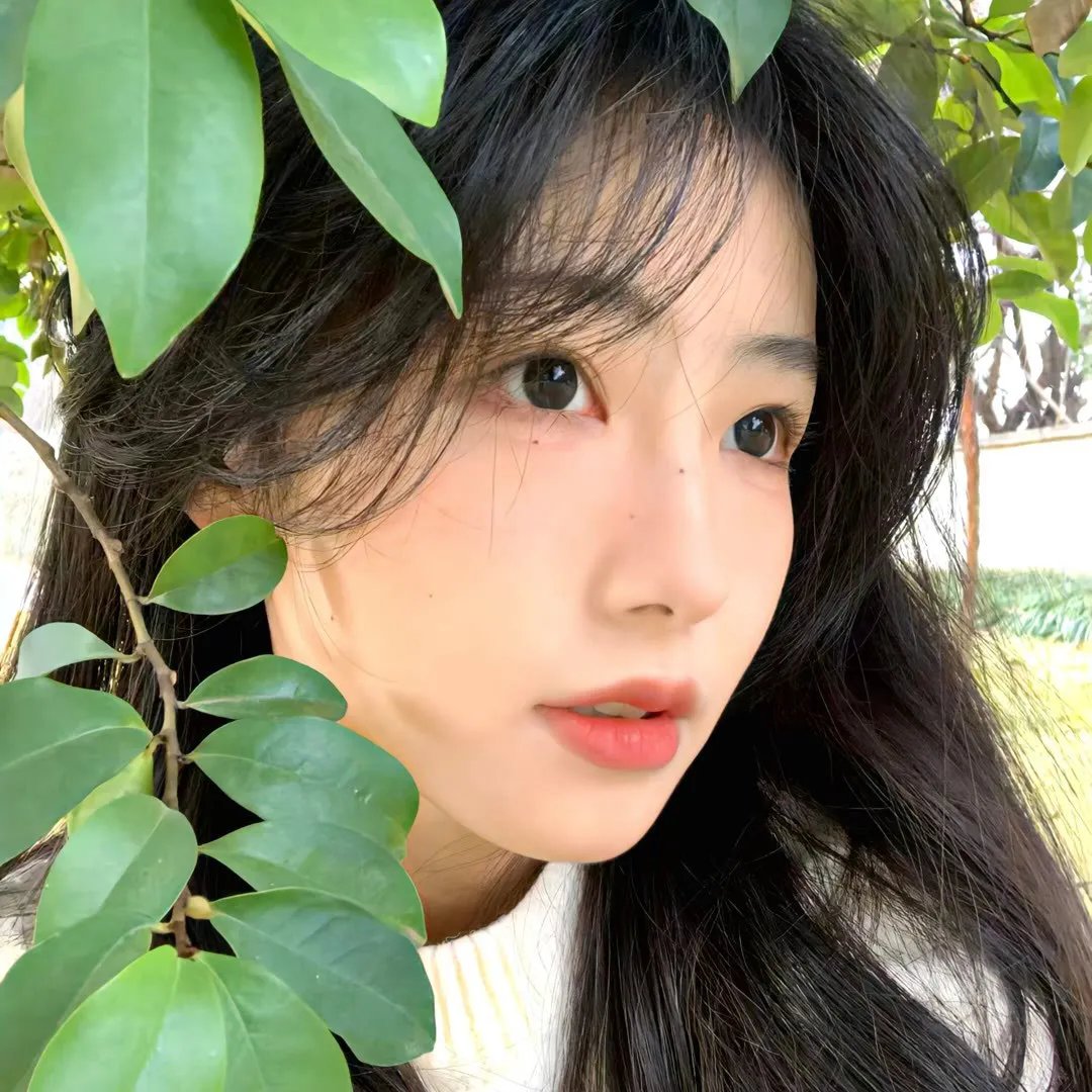 求爱者